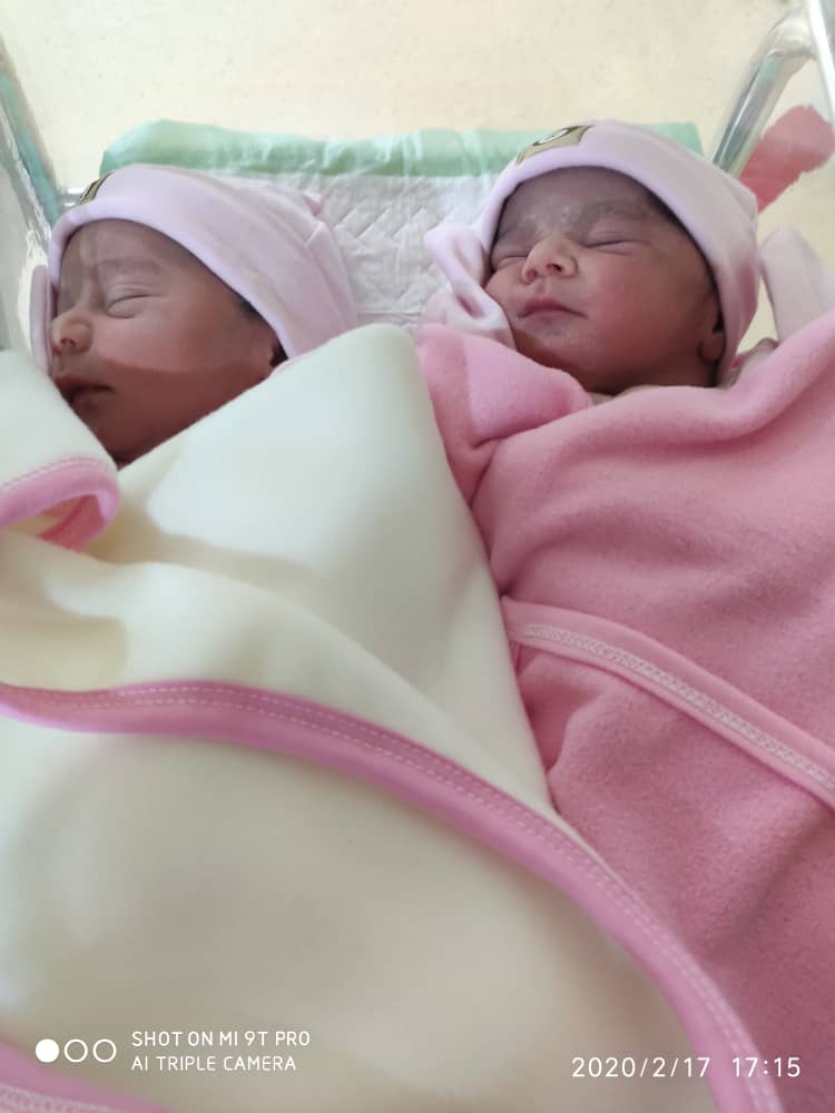 تم و تزیینات نمدی طرح فانتزی فرمهر و فرماه  اسفندياري