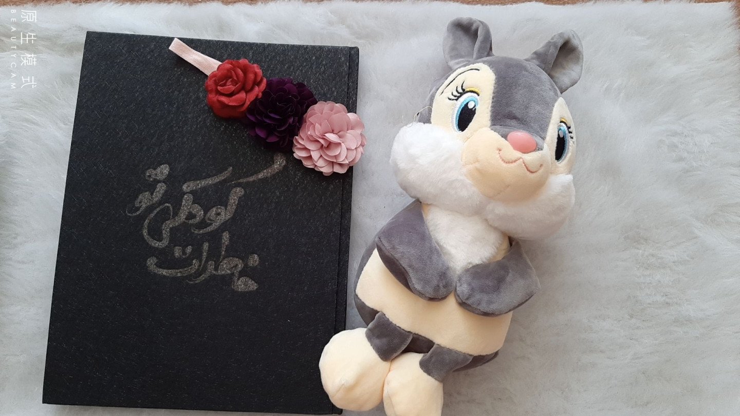 آلبوم خاطرات کودکی دنیز  بیگدلی