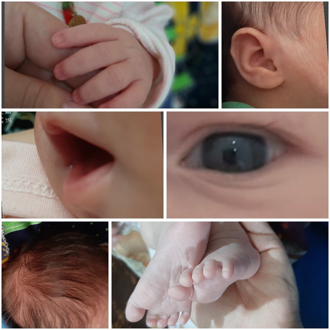 شب یلدا کودک دنیز  بیگدلی