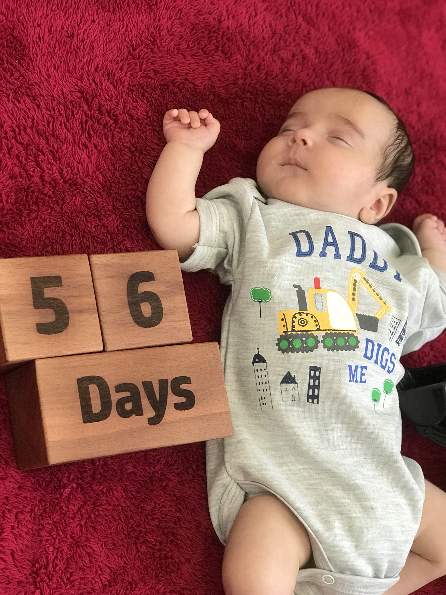 مکعب تاریخ شمار ویژه آرويد سيدالعلما