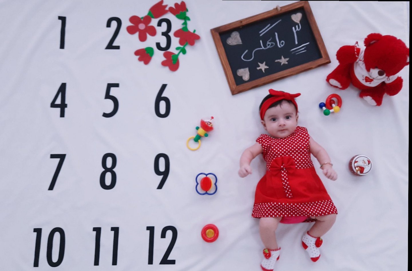 تم-عکاسی-گل-و-بلبل-25658