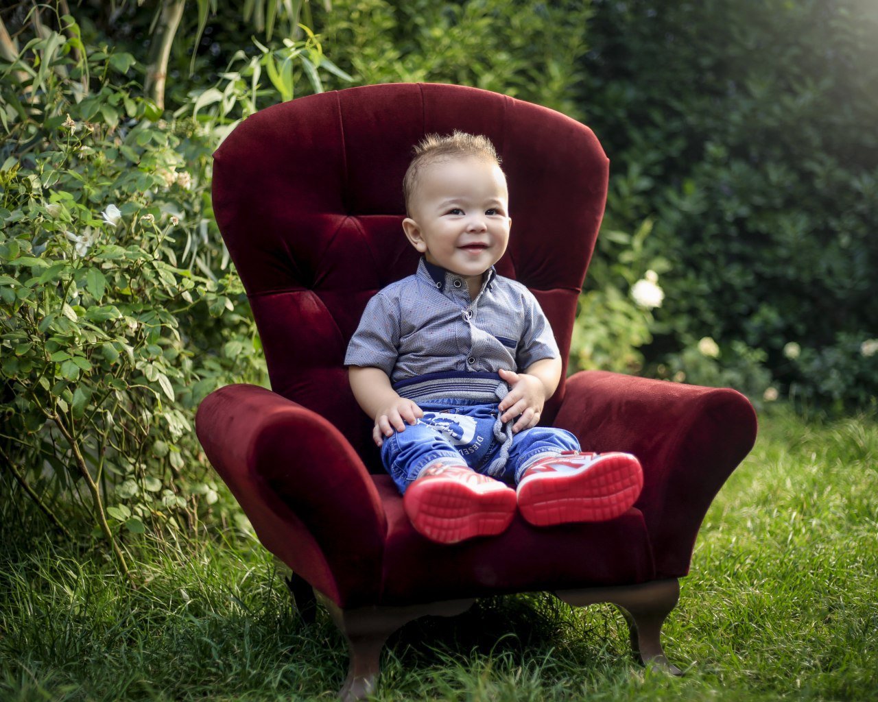 دوازده ماهگی نوزاد آیان شقایقی ثانی