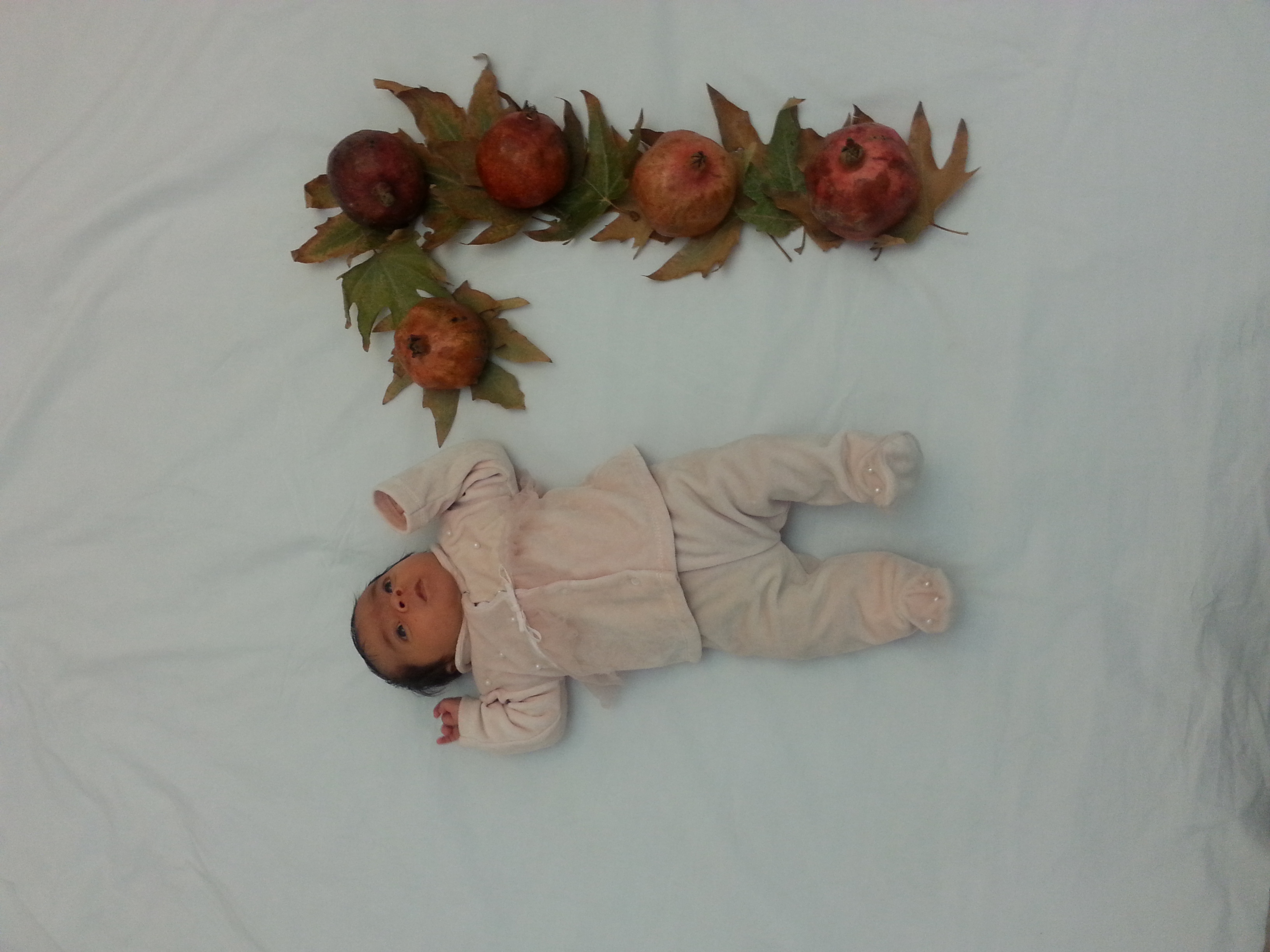 دو ماهگی نوزاد دلنیا صادقی مصباح