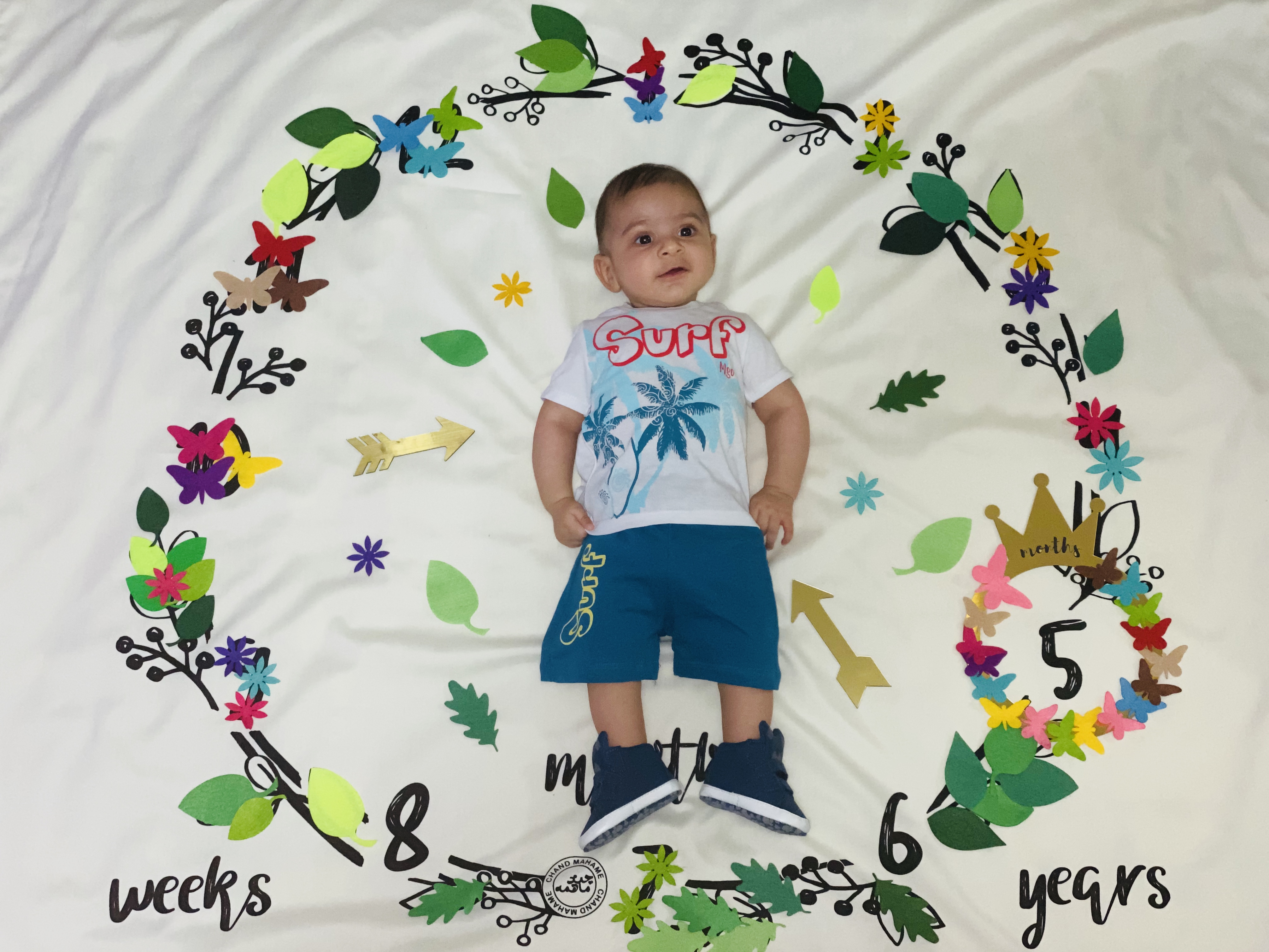 تم-و-تزیینات-نمدی-طرح-گل-و-برگ-13995