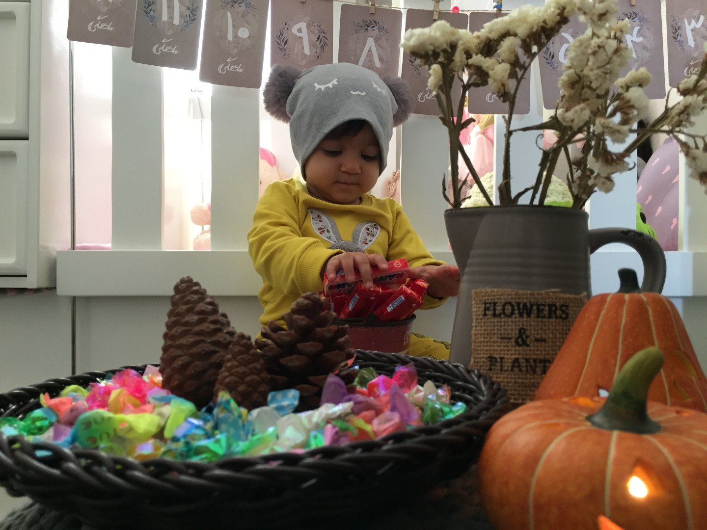 ده ماهگی نوزاد نگارا كرمي