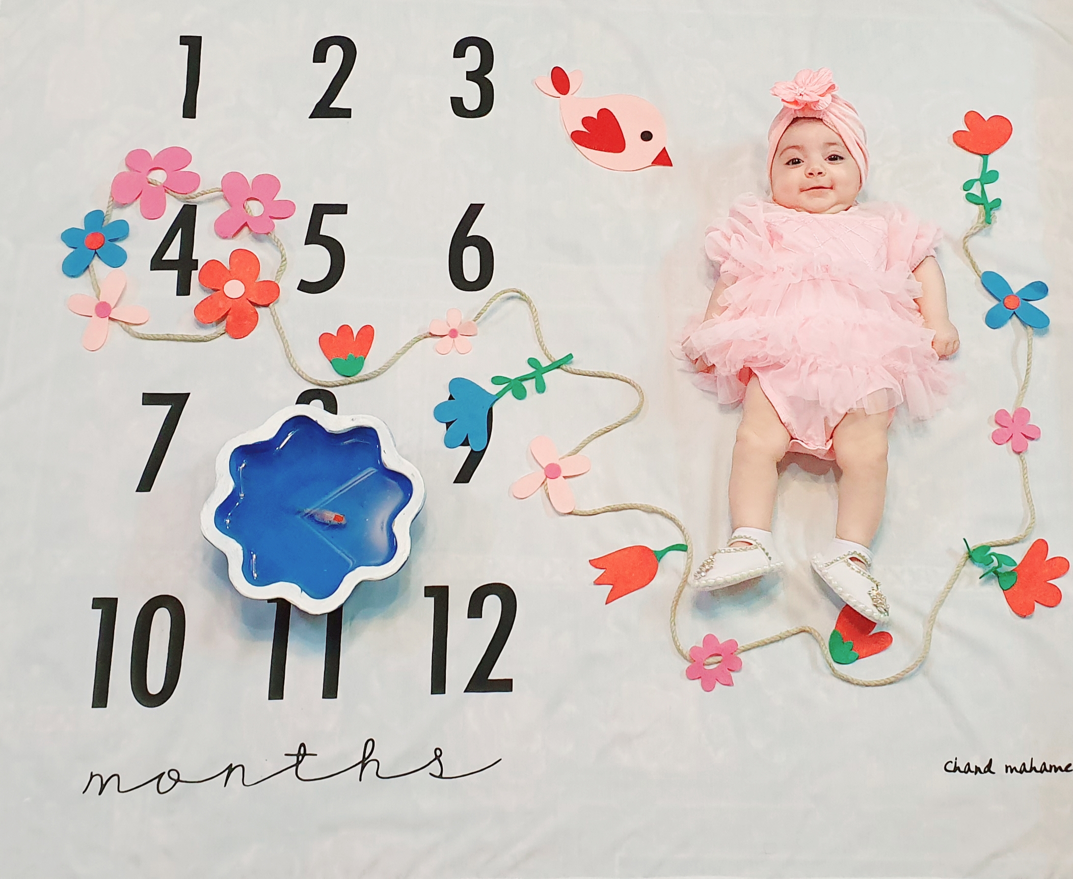 تم-عکاسی-گل-و-بلبل-12923