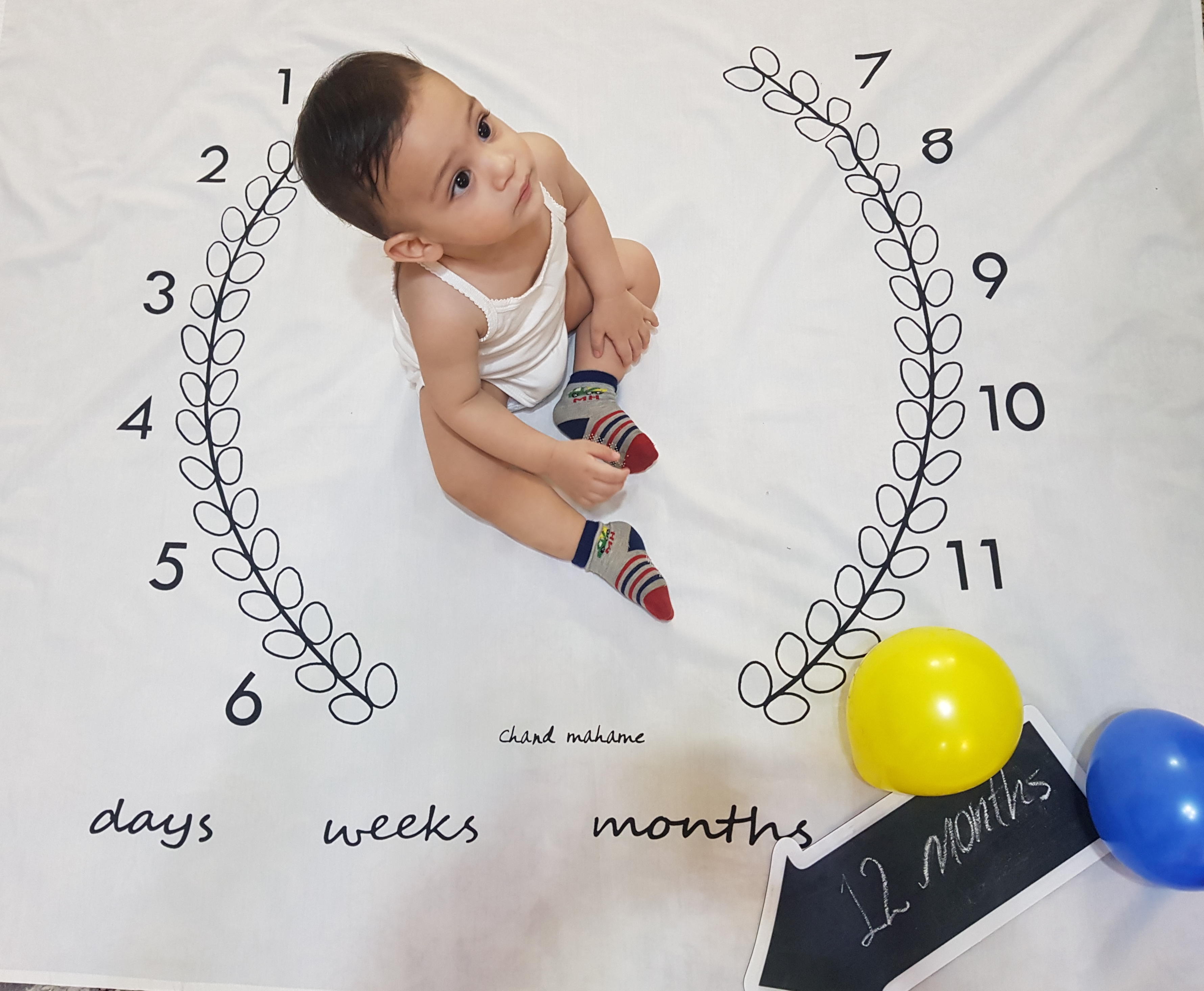 دوازده ماهگی نوزاد نجاتی