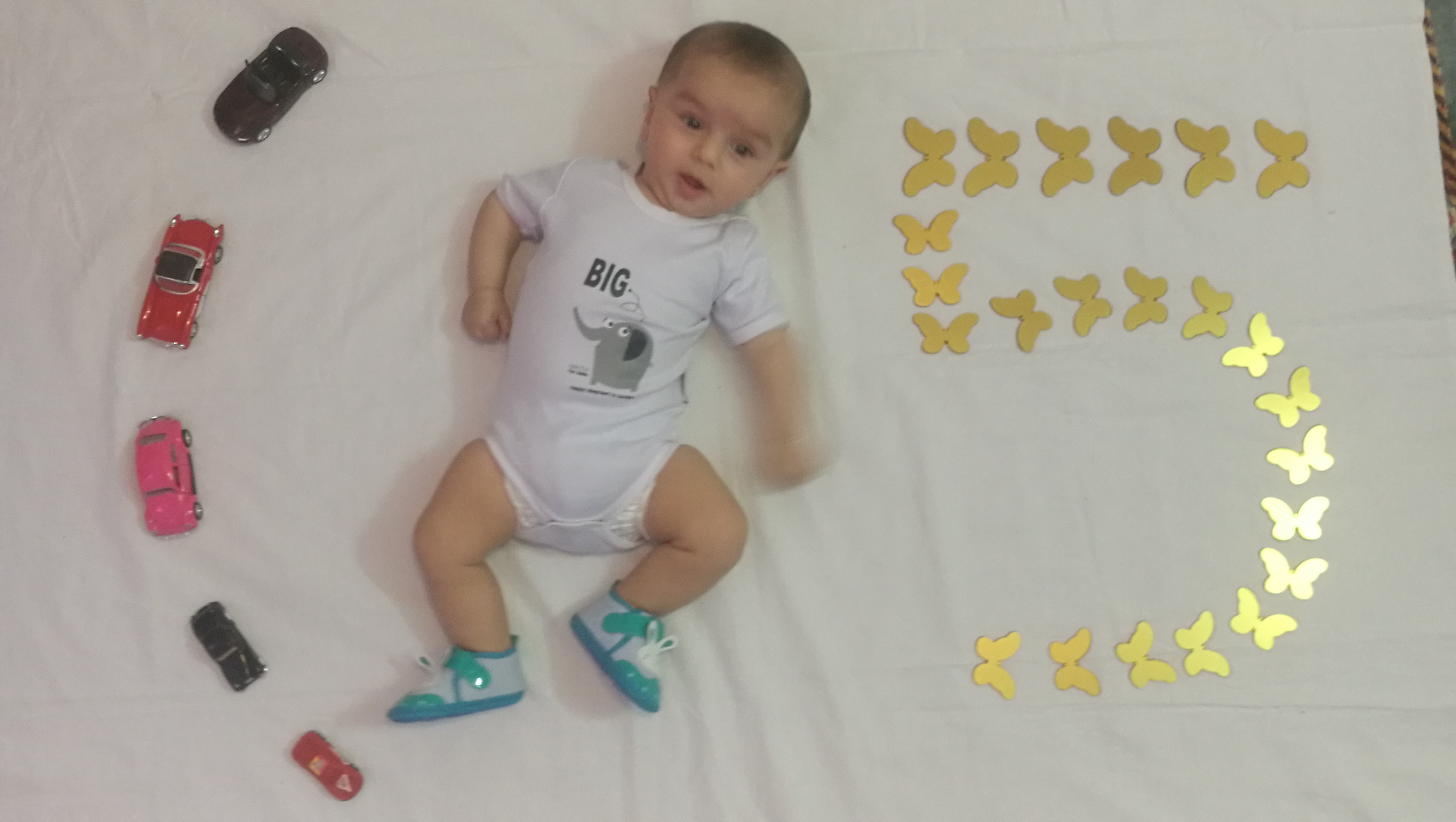 شروع غذای کمکی سید ابوالفضل حسینی