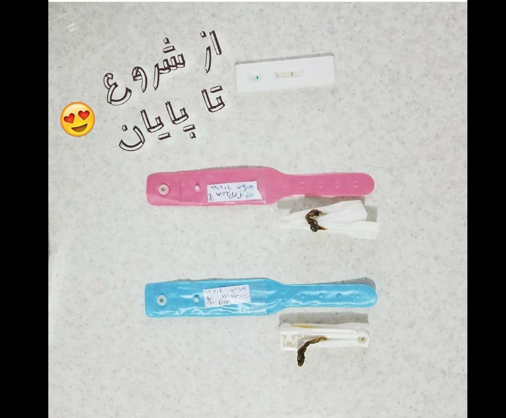 جشن تعیین جنسیت نارین  و نویان شهبازی