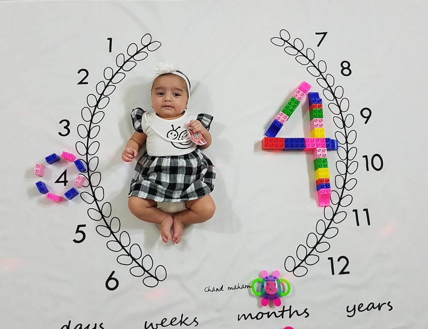 ایده نارین  و نویان شهبازی