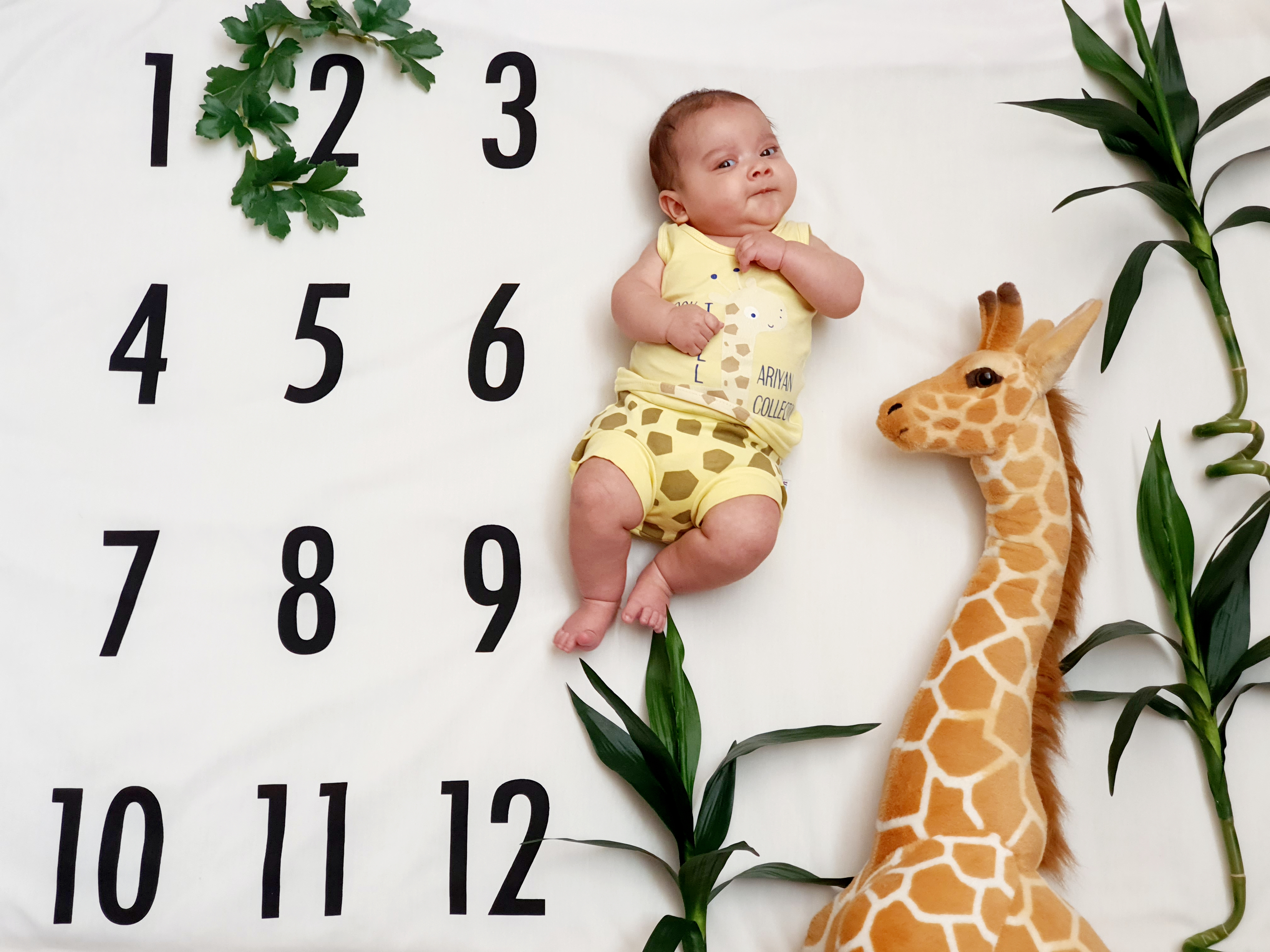 پارچه ماهگرد نوزاد طرح کلاسیک شاهان گنجعلی