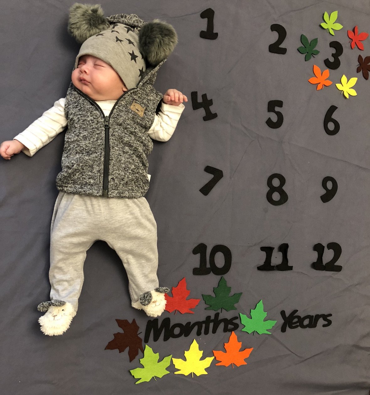 تم-و-تزیینات-نمدی-طرح-گل-و-برگ-22745