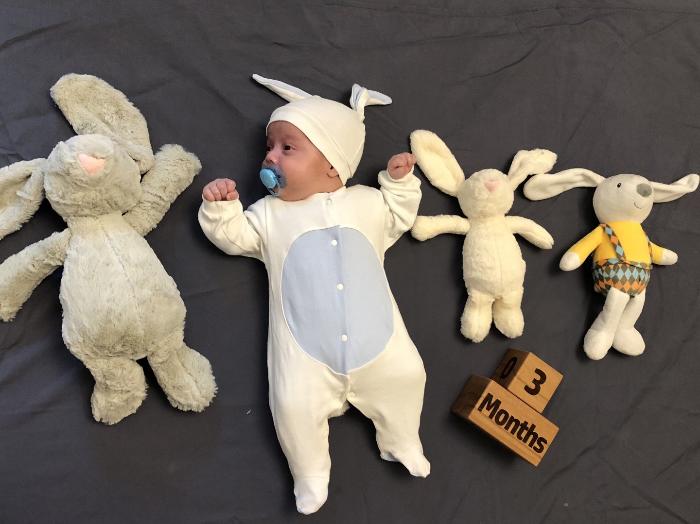 تم عکاسی باران آرمان ستاری