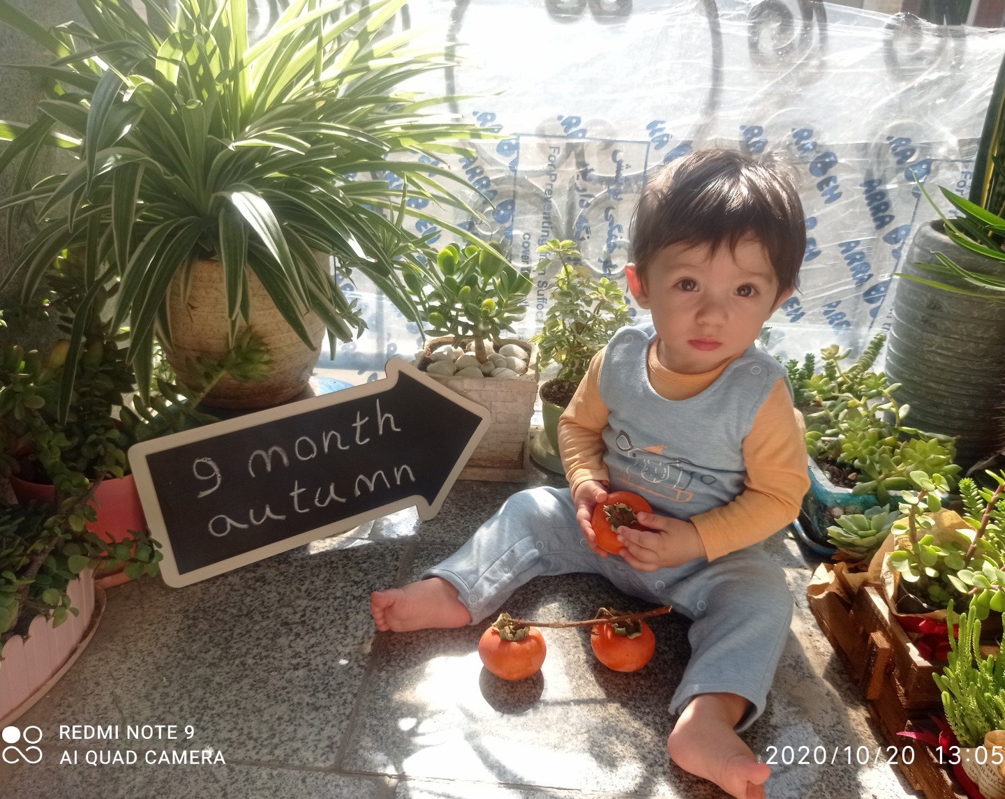 نه ماهگی نوزاد رادین سعادتی