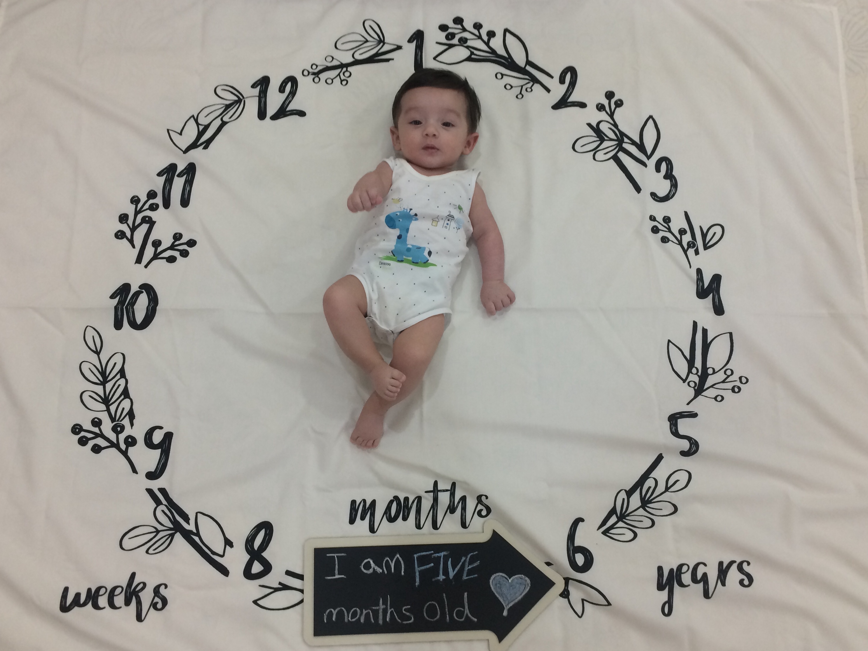 تخته-سیاه-مدل-فلش-17246