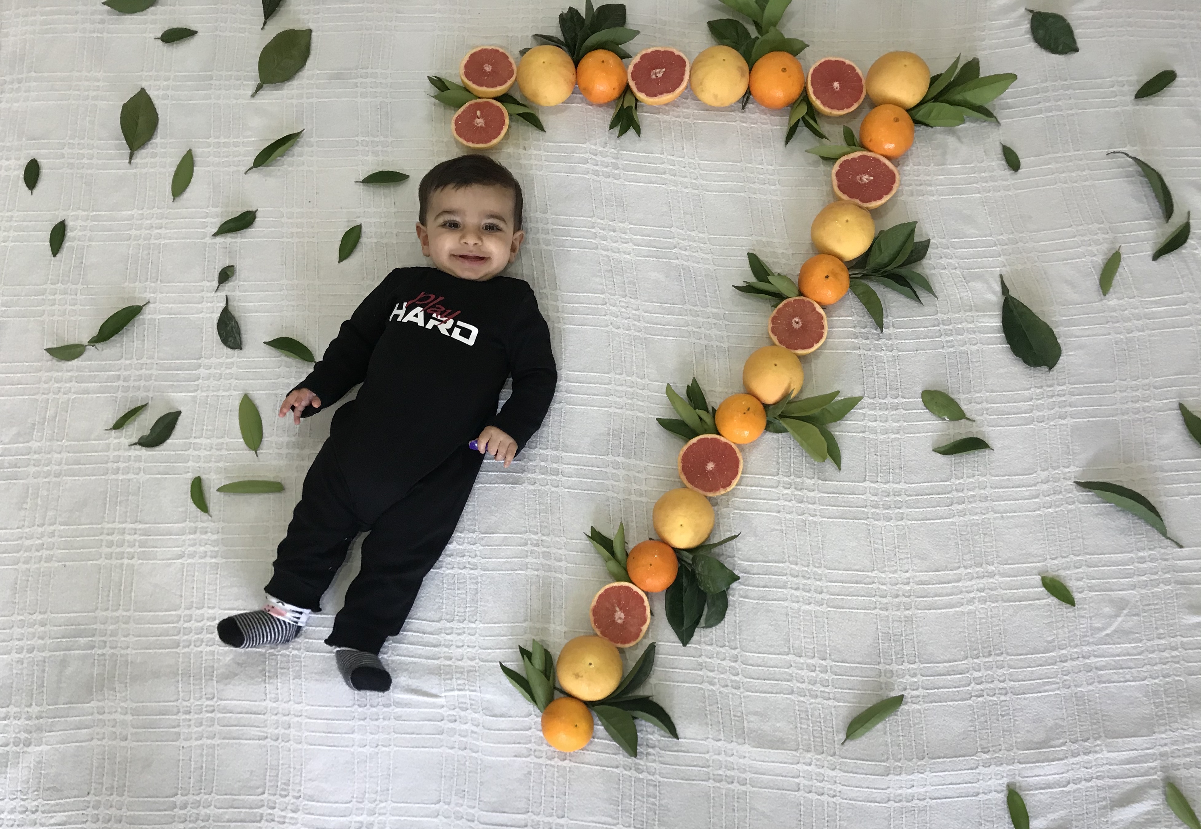 عکاسی با میوه ولیام ابراهیم نیا