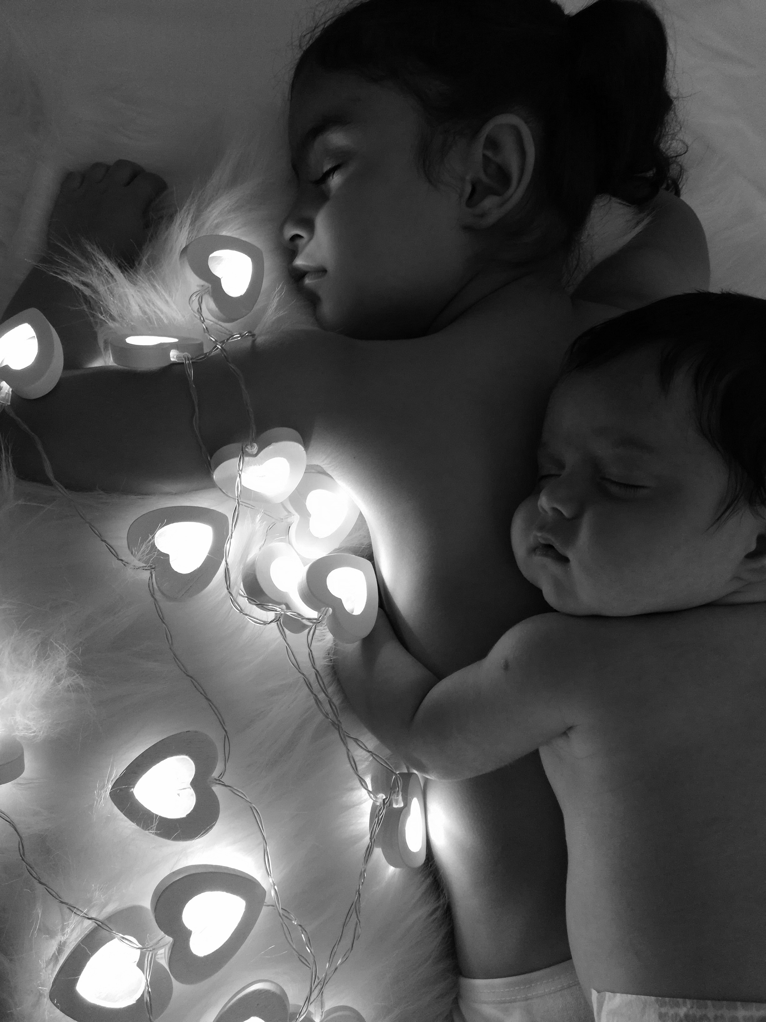 ریسه-تزئینی-18775