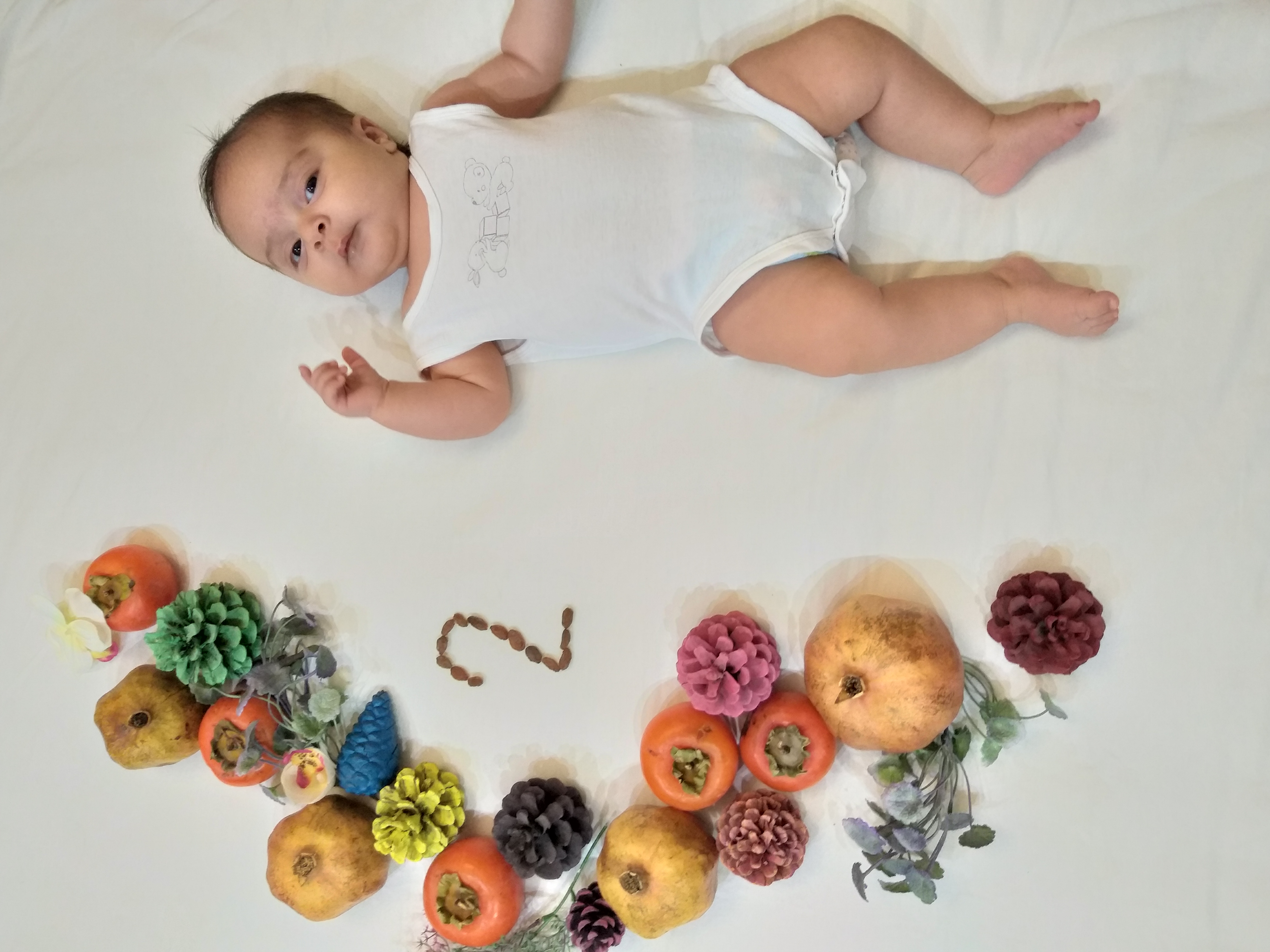 تم عکس بهاری کودک مهراد برنقوری