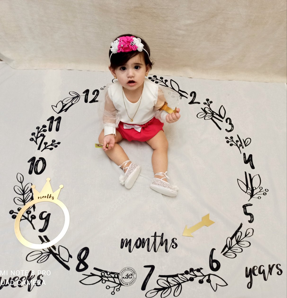 نشانگر ماهگرد تاج طلایی دلوین یوسف وند