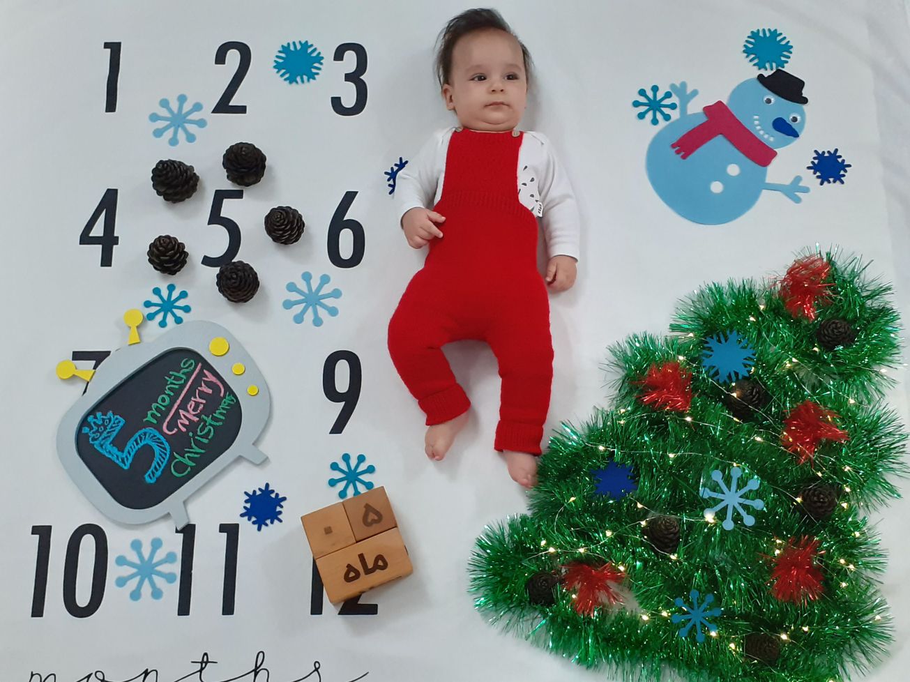 تم عکس زمستانی نوزاد علیرضا ساده