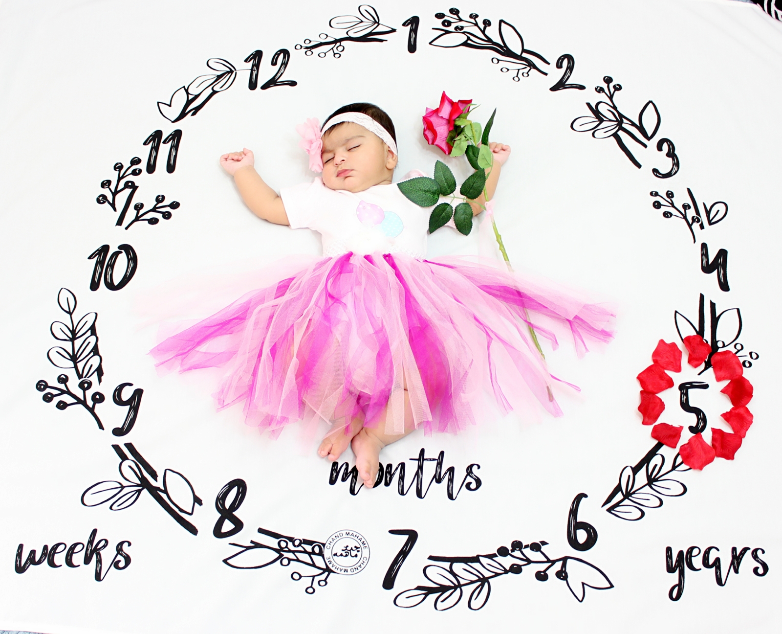 پارچه-های-عکاسی-21388