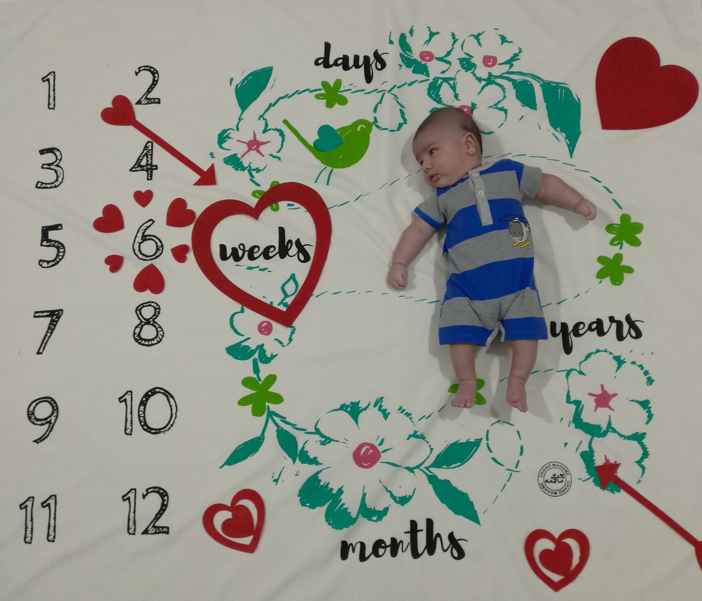 عکس نوزاد پسر مهران مرادی