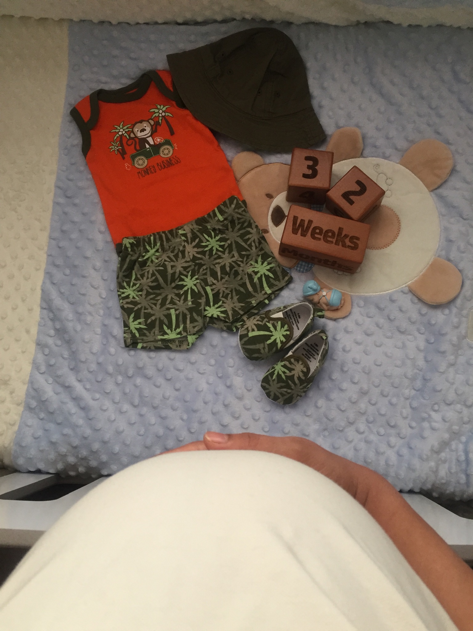 بارداری آرين بهروز