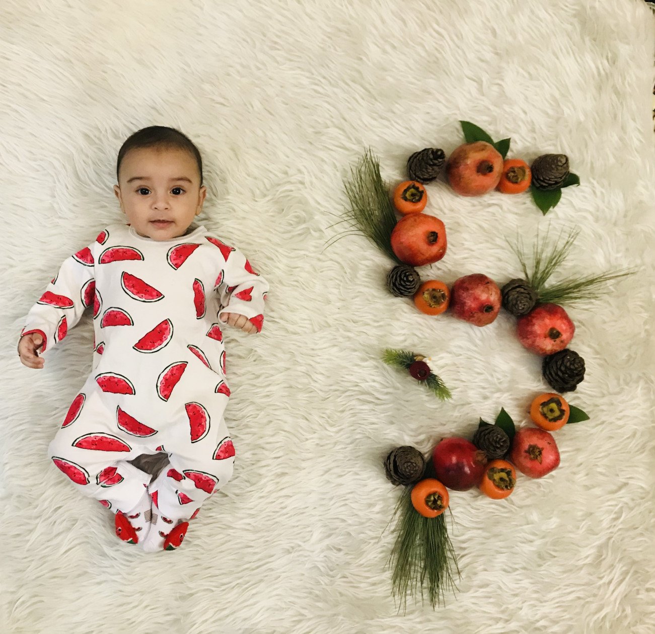 شروع غذای کمکی پندار خردمند