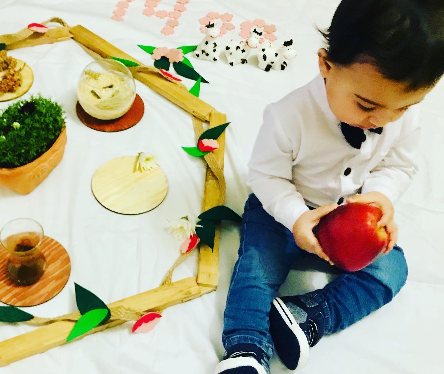 هشت ماهگی نوزاد پندار خردمند