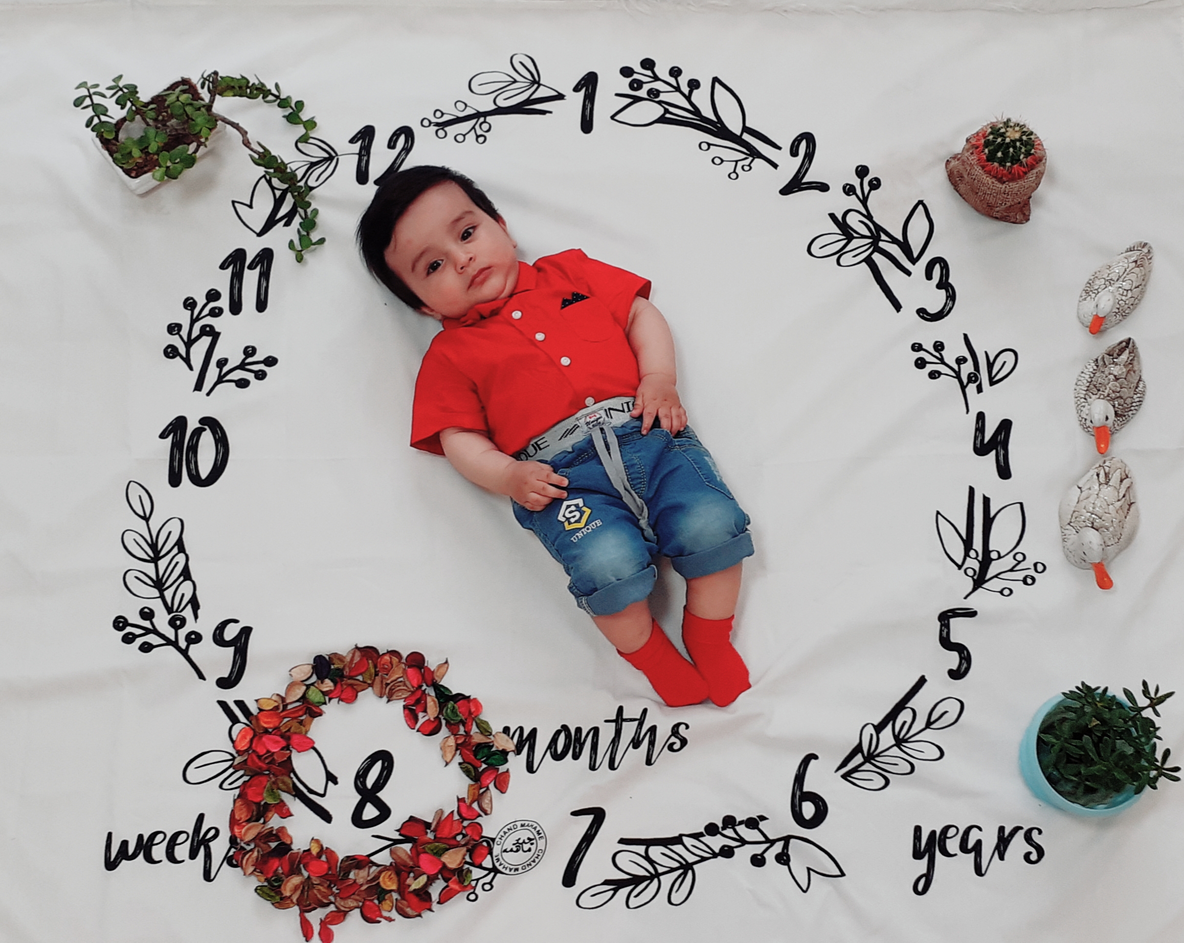 هشت ماهگی نوزاد مهدیار رشوند