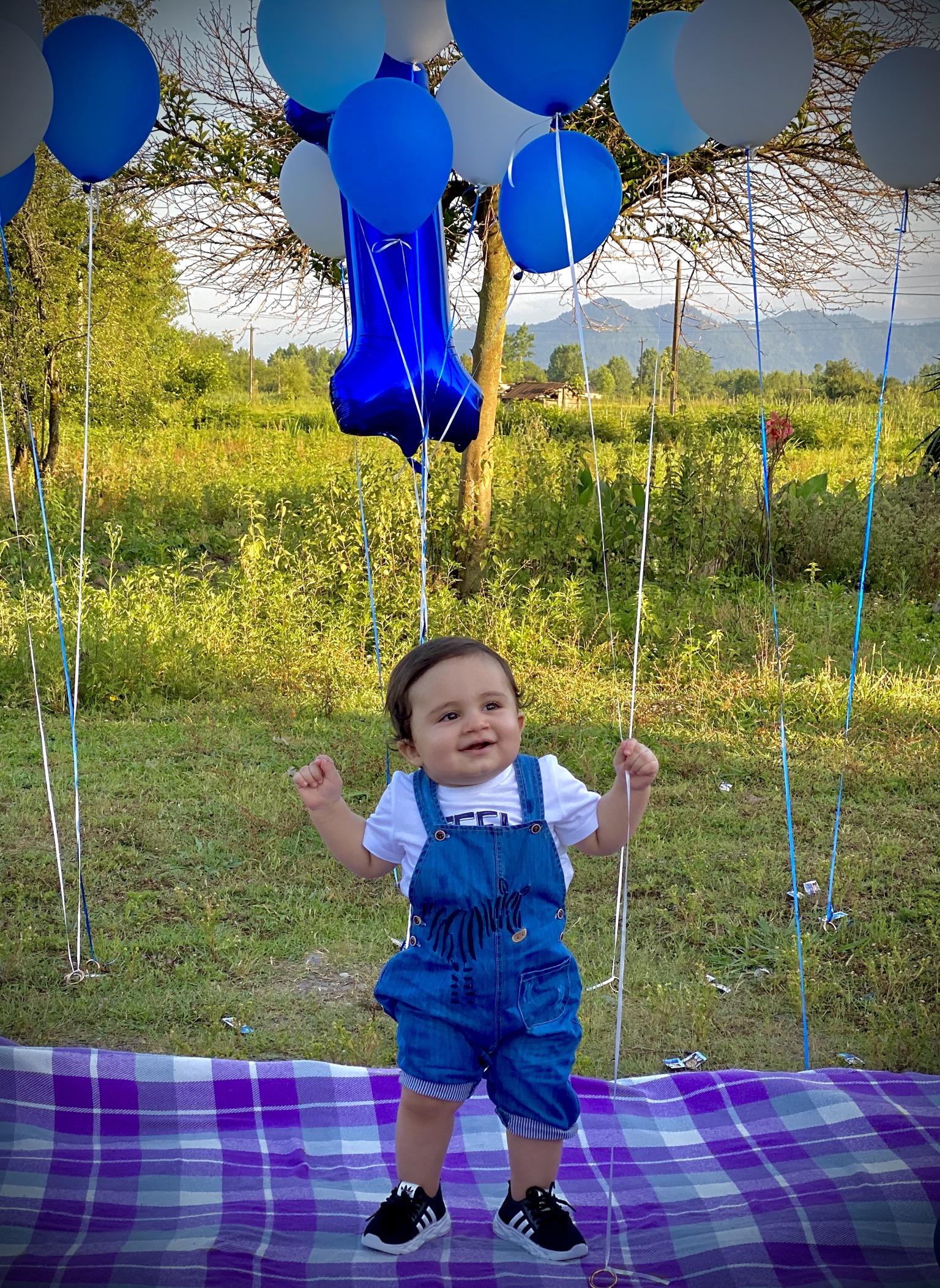 دوازده ماهگی نوزاد ماكان مقدم