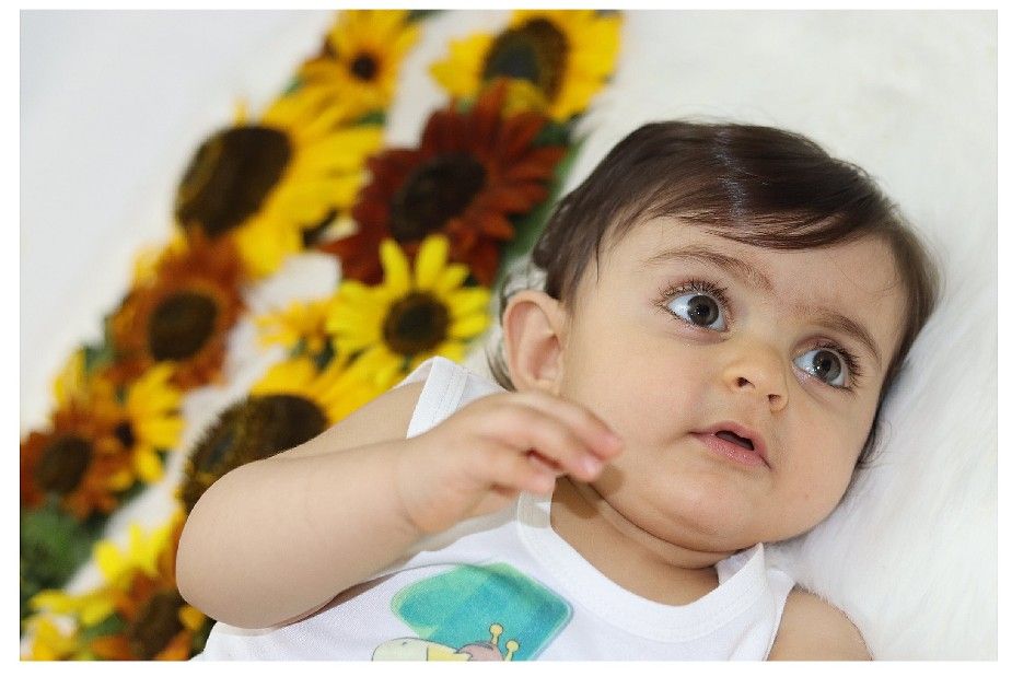 پارچه ماه شمار طرح شاخه زیتون لنیا طاهران پور