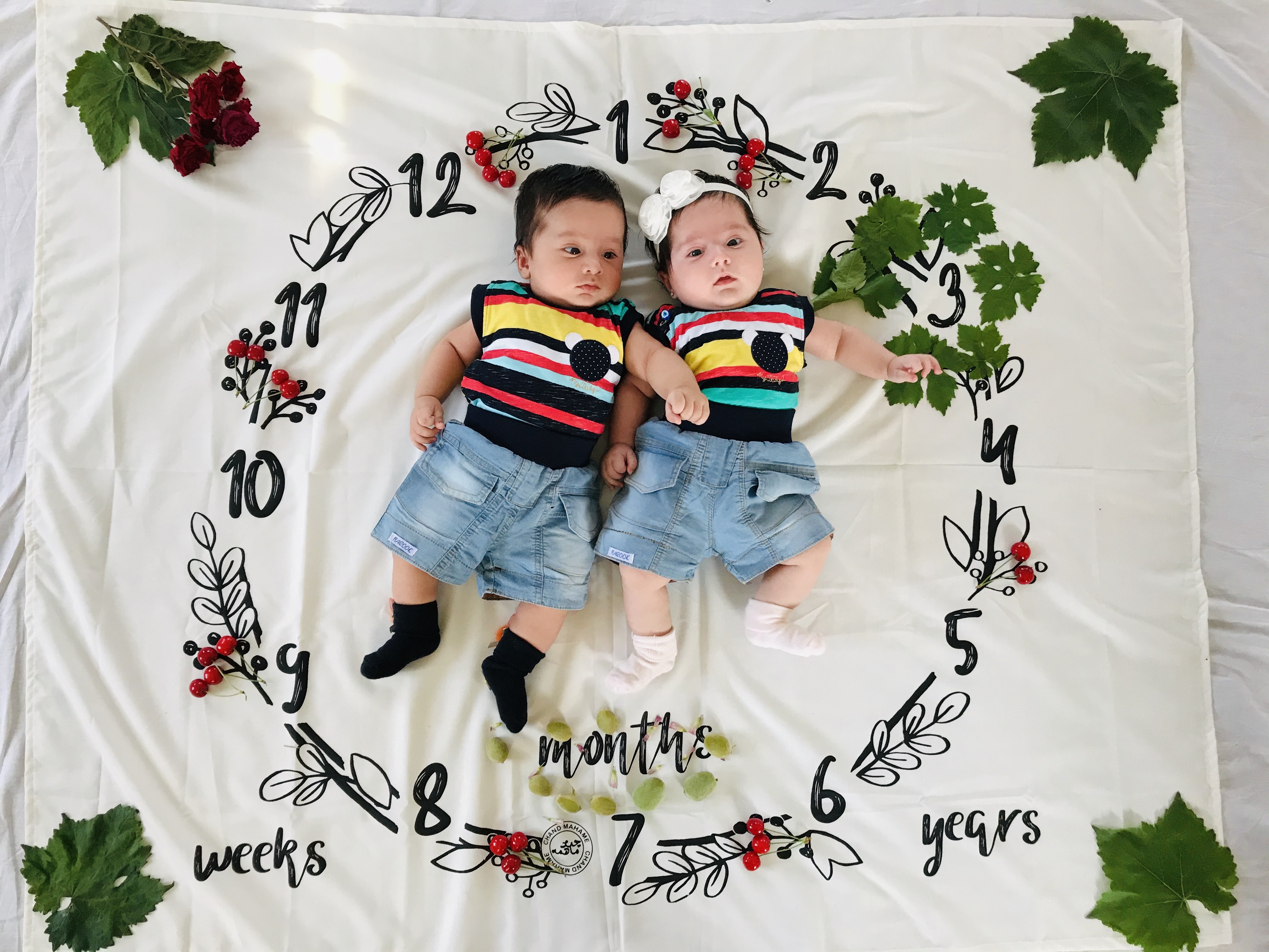 پارچه ماهگرد طرح حلقه تمشک سیدشایان حسینی