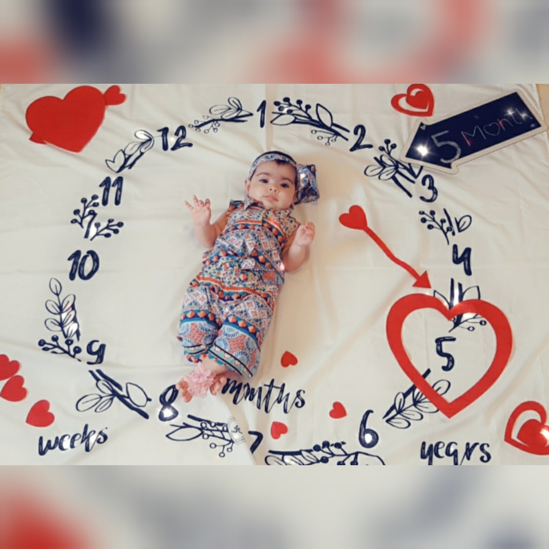 شروع غذای کمکی سلیناسلوکی