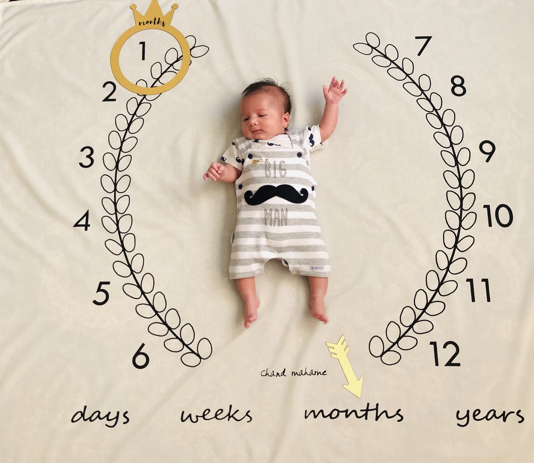 نشانگر ماهگرد تاج طلایی آروین جلی