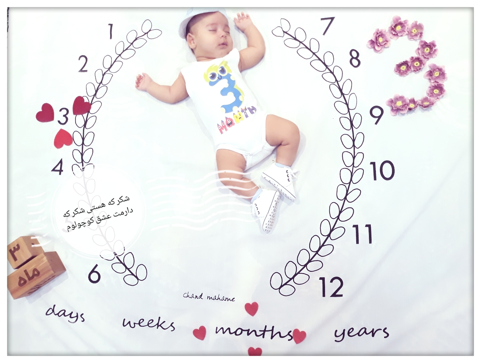 پارچه ماه شمار طرح شاخه زیتون پارسا کریمی