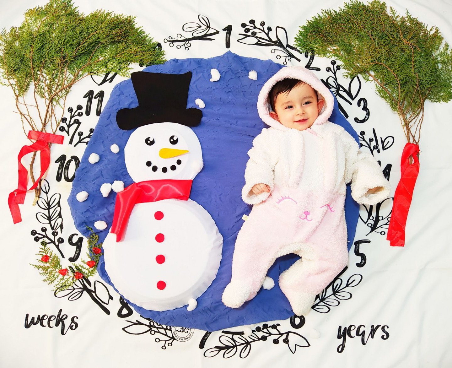 پارچه ماهگرد طرح حلقه تمشک شایلی هاشم پور