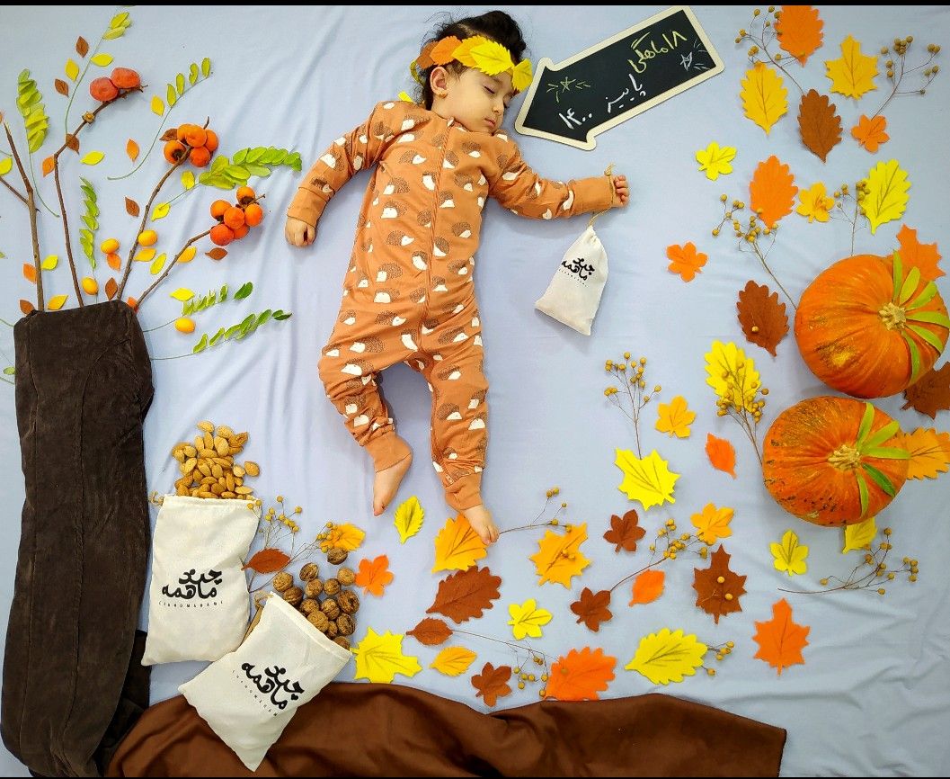 تخته سیاه گچی مدل فلش شایلی هاشم پور