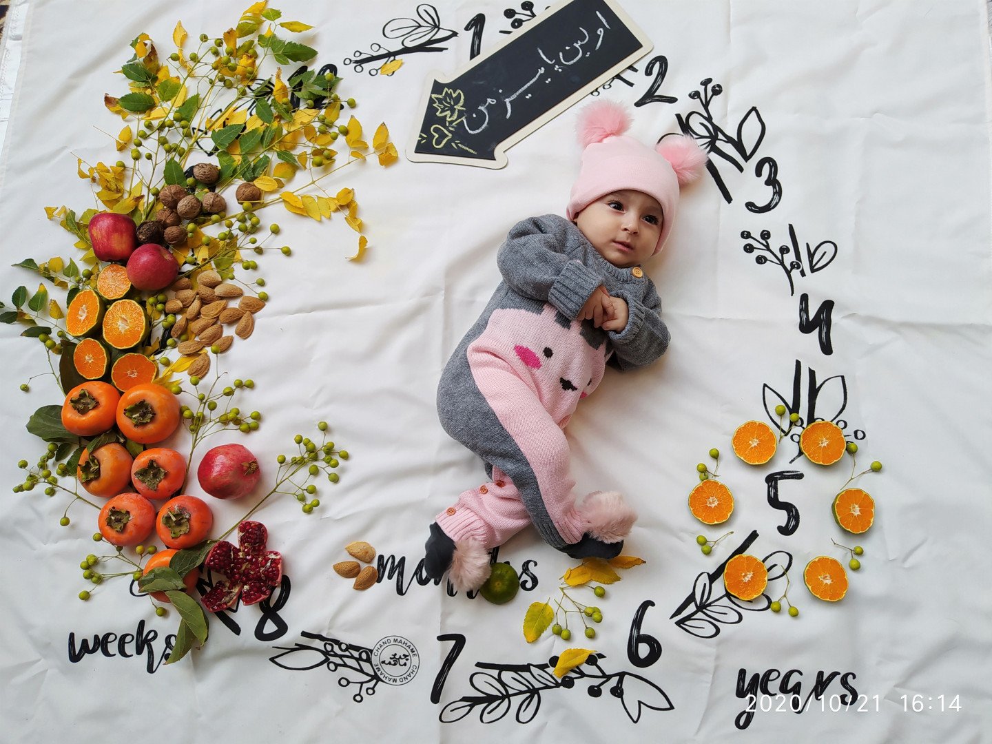 تم عکس پاییزی نوزاد شایلی هاشم پور