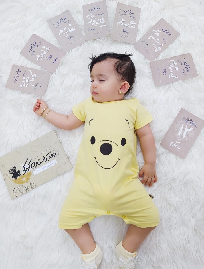 دفتر داستان کودکی شایلی هاشم پور