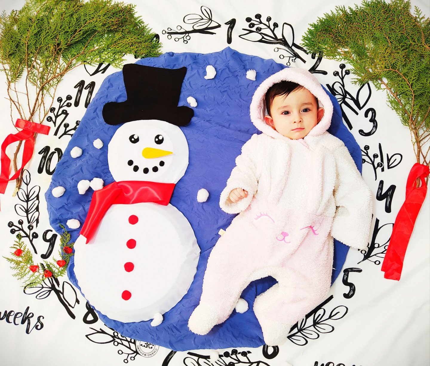 تم عکس زمستانی نوزاد شایلی هاشم پور