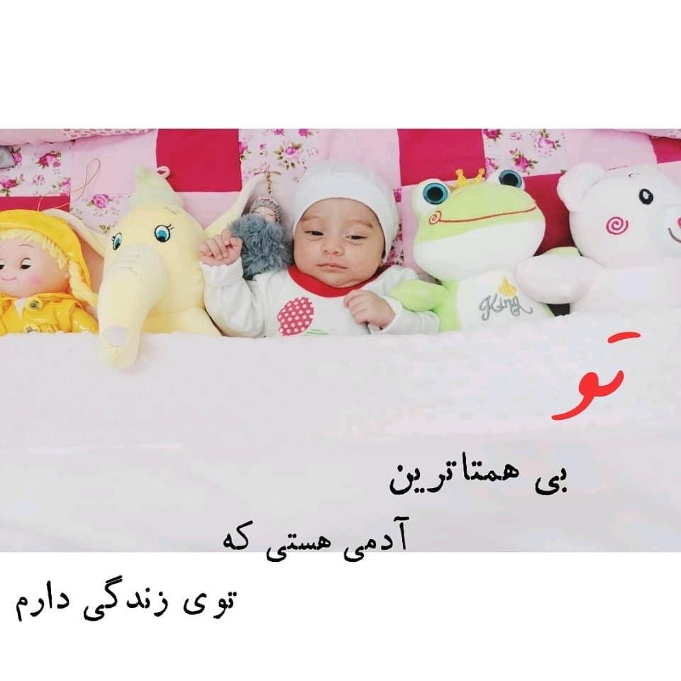 دو ماهگی نوزاد گندم لطیف