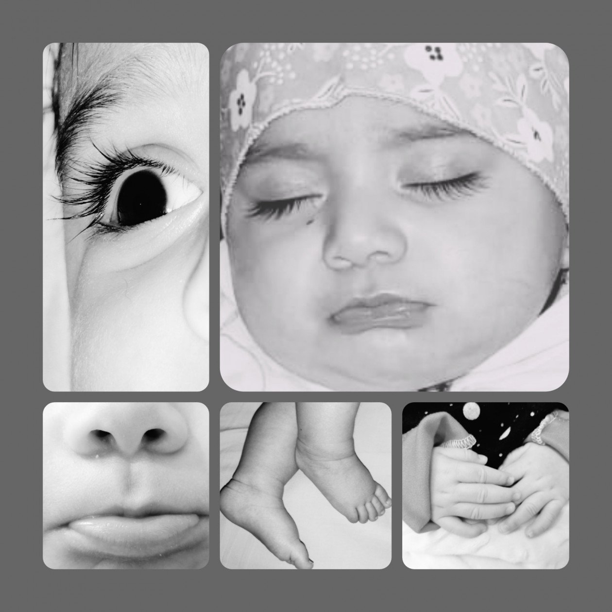 سه ماهگی نوزاد گندم لطیف