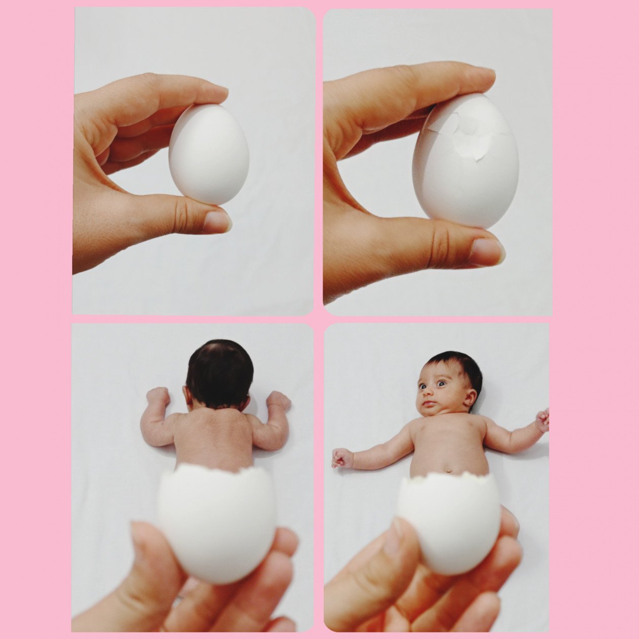 تم عکس زمستانی نوزاد گندم لطیف