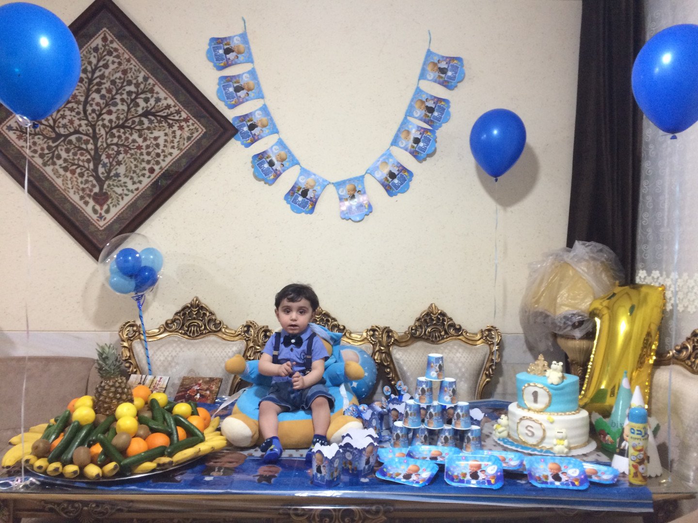 دوازده ماهگی نوزاد سورنا حبیبی