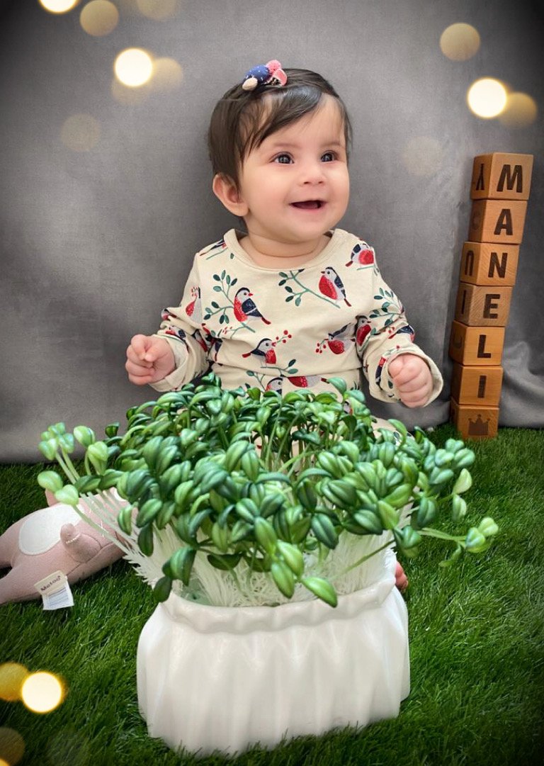 مکعب چوبی حروف لاتین مانلی سراج