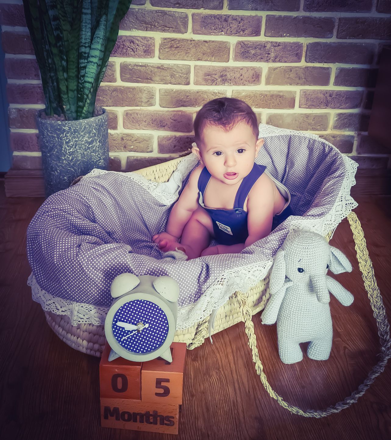 اولین نشستن نوزاد ونداد ابراهیمی نیا