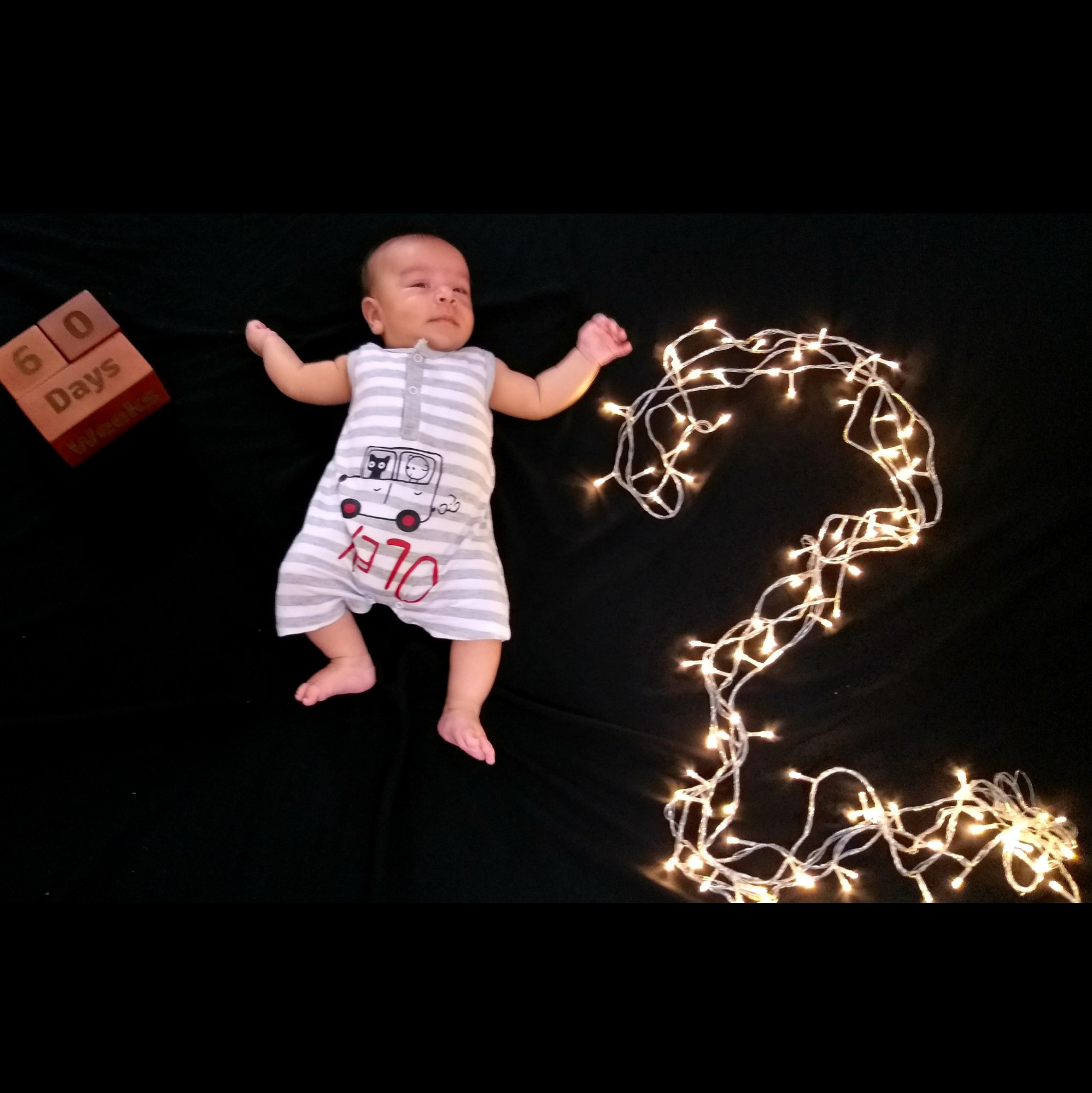 ریسه-تزئینی-19520