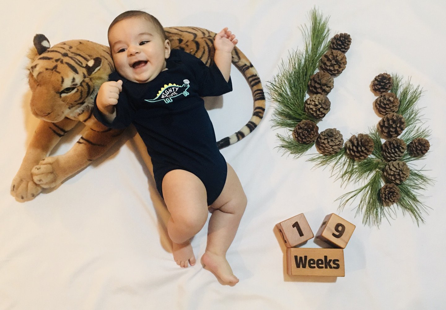 مکعب تاریخ شمار ویژه نيكان پاسبان