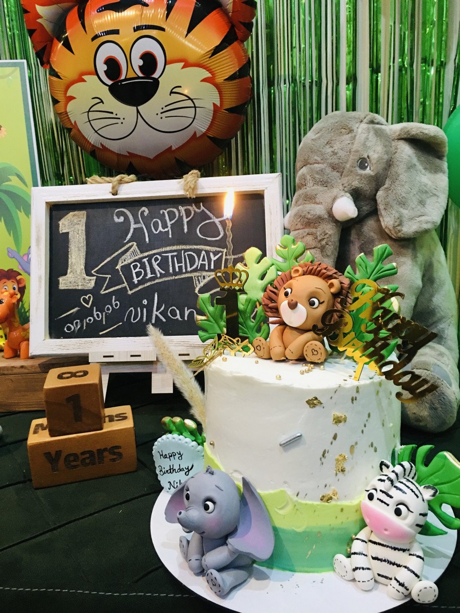 دوازده ماهگی نوزاد نيكان پاسبان